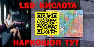 apvp Краснодар