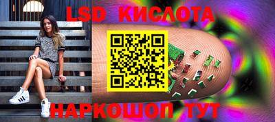 apvp Краснодар