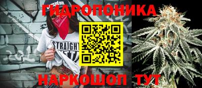 спиды Краснознаменск